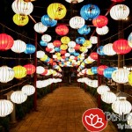 Tết trung thu-Khám phá con đường đèn lồng dài nhất Việt Nam
